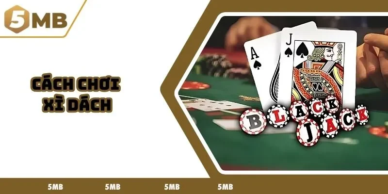 cách chơi xì dách