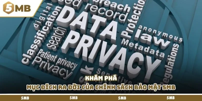 Khám phá mục đích ra đời của chính sách bảo mật 5mb