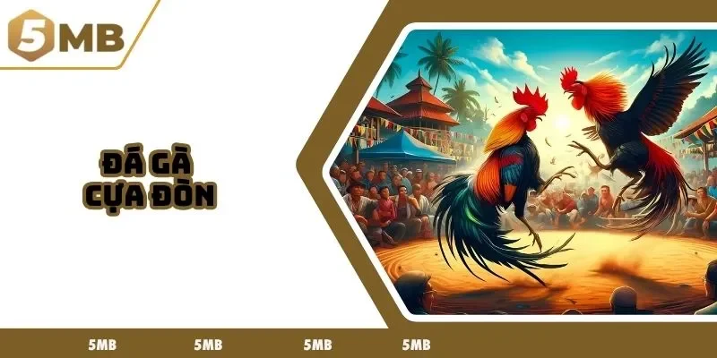 đá gà cựa đòn