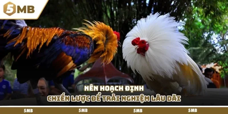 Nên hoạch định chiến lược để trải nghiệm lâu dài