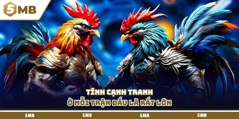 Tính cạnh tranh ở mỗi trận đấu là rất lớn