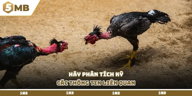 Hãy phân tích kỹ các thông tin liên quan