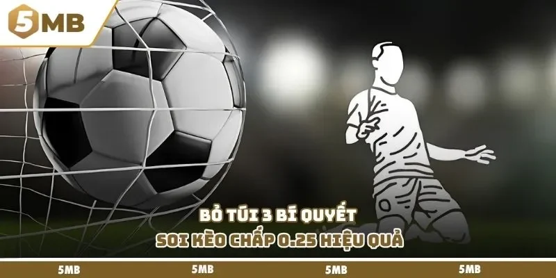 Bỏ túi 3 bí quyết soi kèo chấp 0.25 hiệu quả