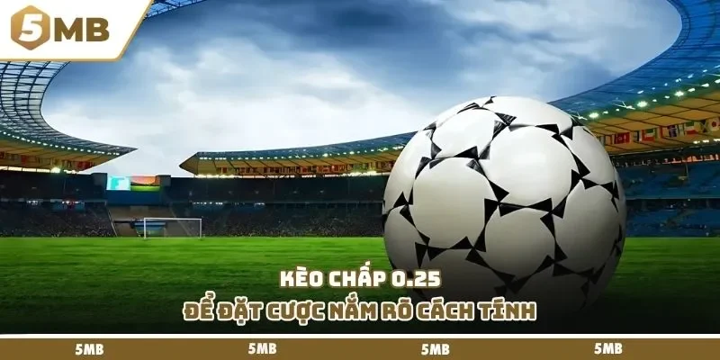 Nắm rõ cách tính kèo chấp 0.25 để đặt cược