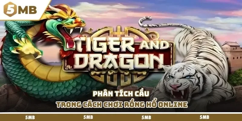 Phân tích cầu trong cách chơi rồng hổ online