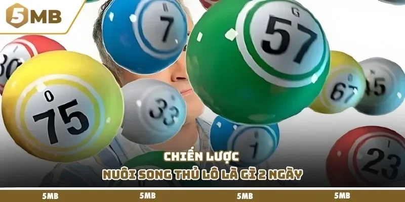 Chiến lược nuôi song thủ lô là gì 2 ngày