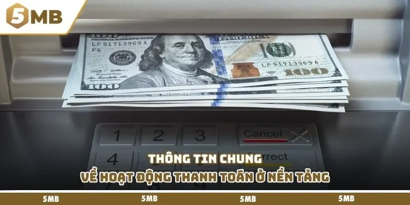 Thông tin chung về hoạt động thanh toán ở nền tảng